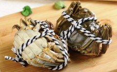 昆山陽澄湖大閘蟹空運