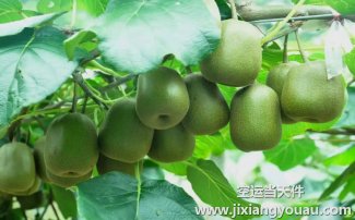 成都雙流到廣州白云機(jī)場(chǎng)空運(yùn)