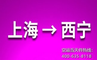 西安到西寧空運(yùn)_機(jī)場(chǎng)托運(yùn)